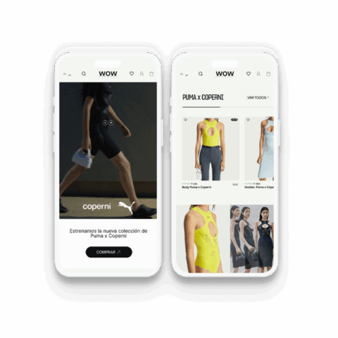 Landind Puma x Coperni